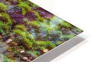 Floating Along HD Metal print