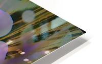 Violet Explosion HD Metal print