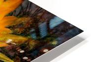 Sunshine HD Metal print