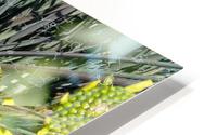 Sunny Day HD Metal print