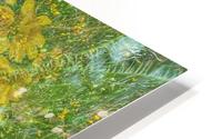 Volcanic Splendor HD Metal print