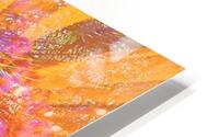 Radiant Sun HD Metal print