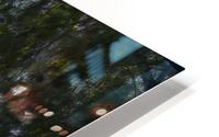 Wildly Fun HD Metal print