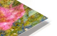 Blooming Pink HD Metal print