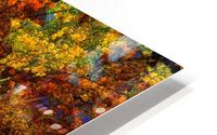 Pastel Garden HD Metal print