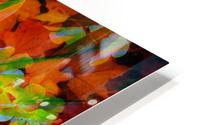 Color Burst HD Metal print