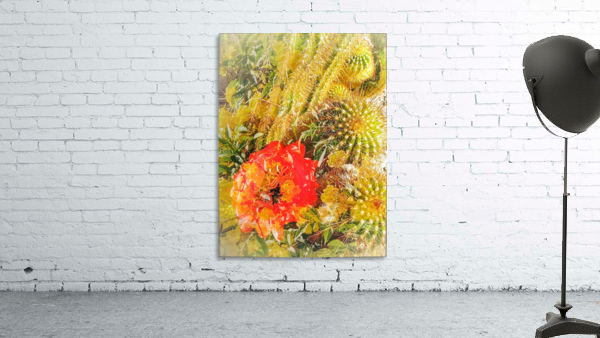 Red Prickles  Wall Preview