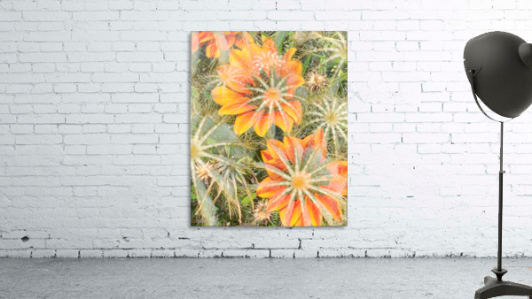 Orange Spiders Wall Preview