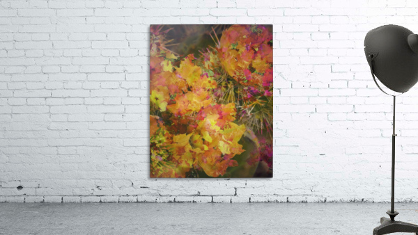 Magical Cactus Wall Preview