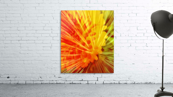 Sunrise Burst Wall Preview