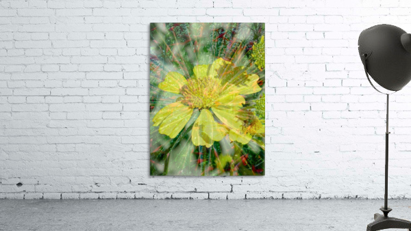 Lemon Shine Wall Preview