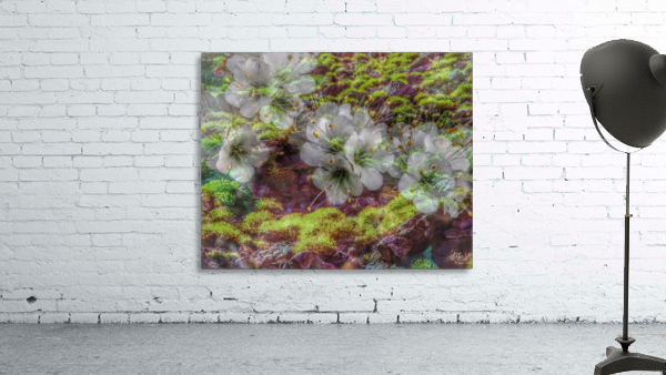 Floating Along Wall Preview