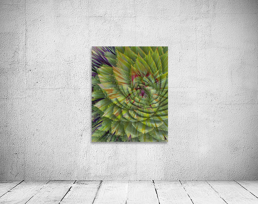 Swirling Delight Wall Preview