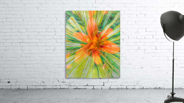 Orange Surprise Wall Preview