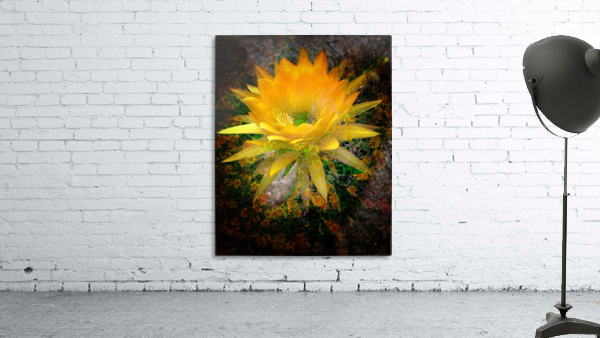 Sunshine Wall Preview