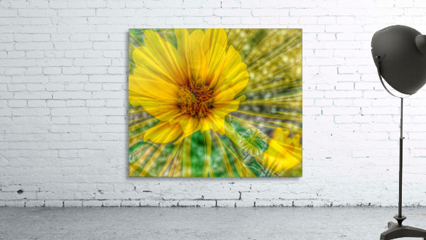 Lemon Spritz Wall Preview