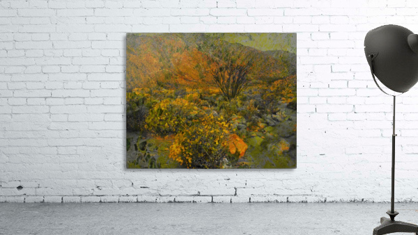 Desert Splendor  Wall Preview