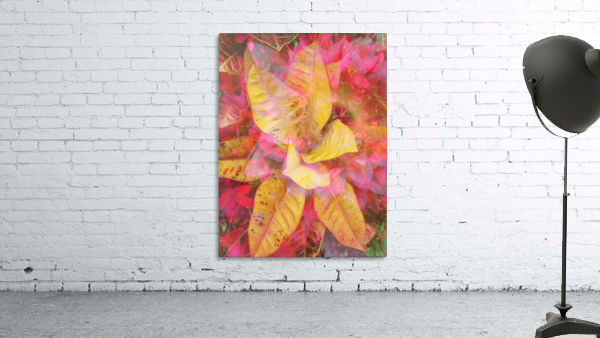 Amazing Pinwheel  Wall Preview