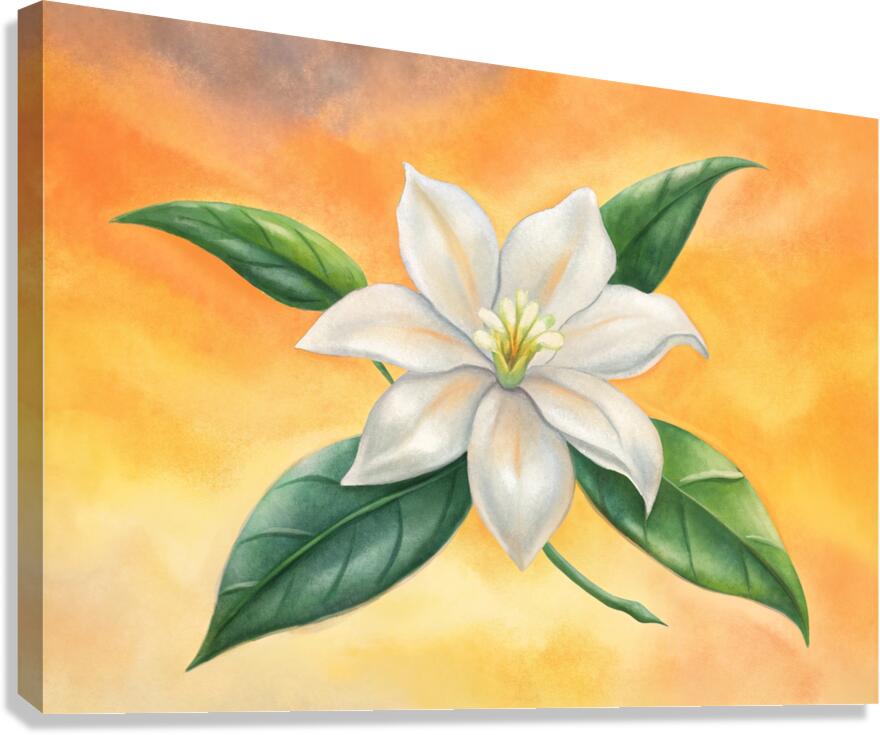 white jasmine flower by binyusr Wall Art