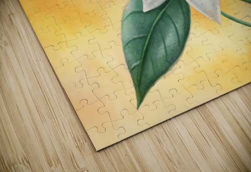 white jasmine flower binyusr puzzle