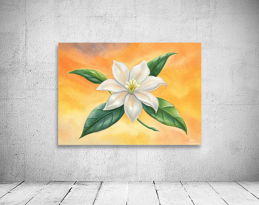 white jasmine flower Wall Preview