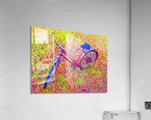 Joy Acrylic Print