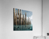venice10 Acrylic Print