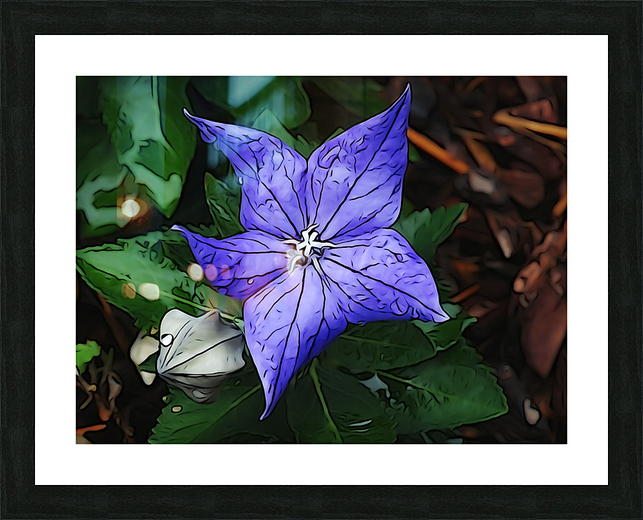 Mystery Bloom Picture Frame print