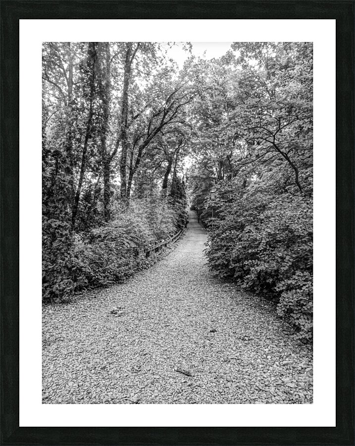 Trail Blaze Picture Frame print