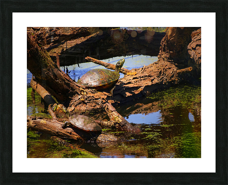 Vogue Picture Frame print