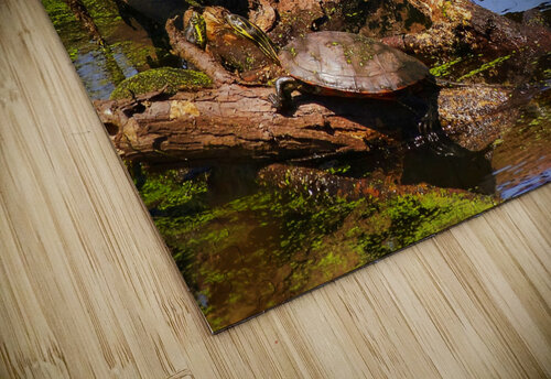 Vogue DeCoeur puzzle