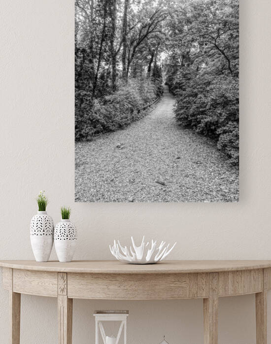 Trail Blaze by DeCoeur
