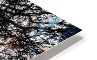 Hopeful HD Metal print