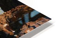 Vogue HD Metal print