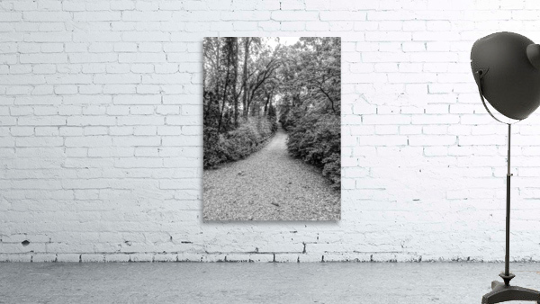 Trail Blaze Wall Preview