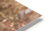 Leopard HD Metal print