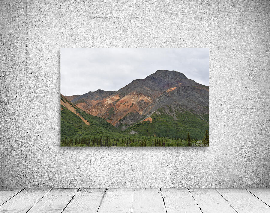 Alaskan Mountains Wall Preview