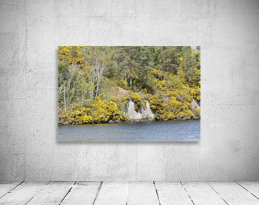 Rugged Scottish  Landscape Wall Preview