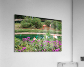 IMG 0700 Acrylic Print