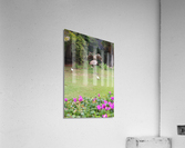IMG 0728 Acrylic Print