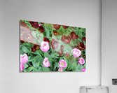 IMG 1199 Acrylic Print