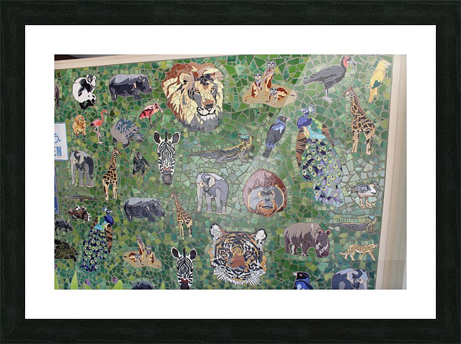 IMG 0735 Picture Frame print