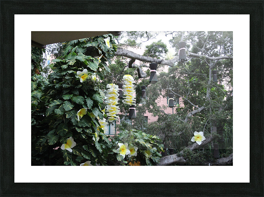 IMG 0940 Picture Frame print