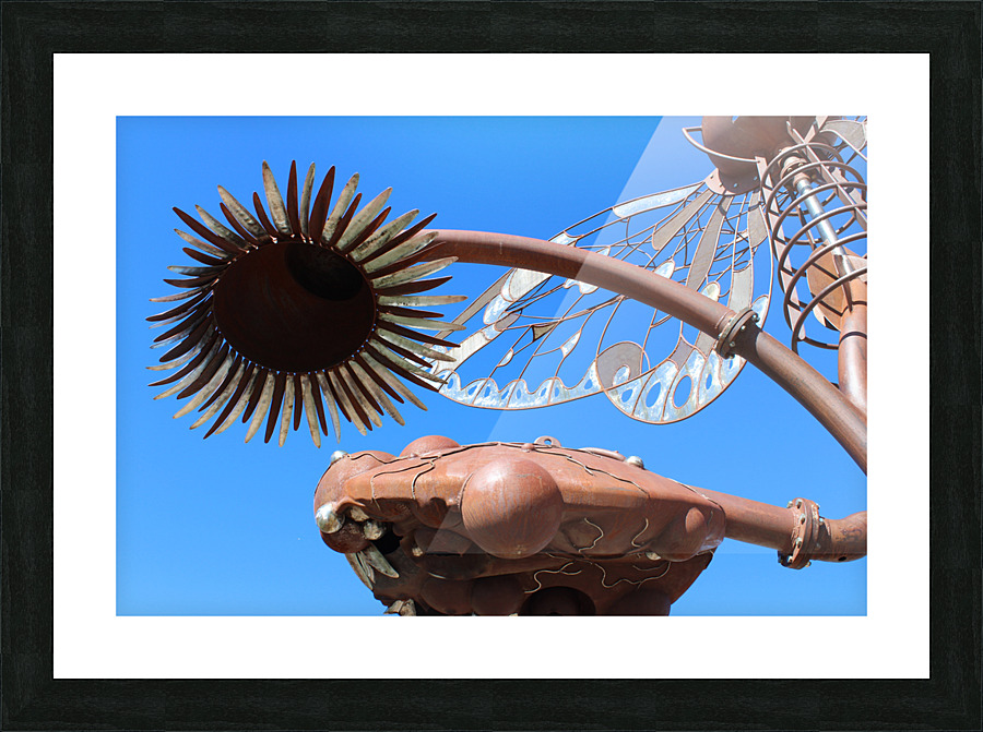 IMG 1046 Picture Frame print