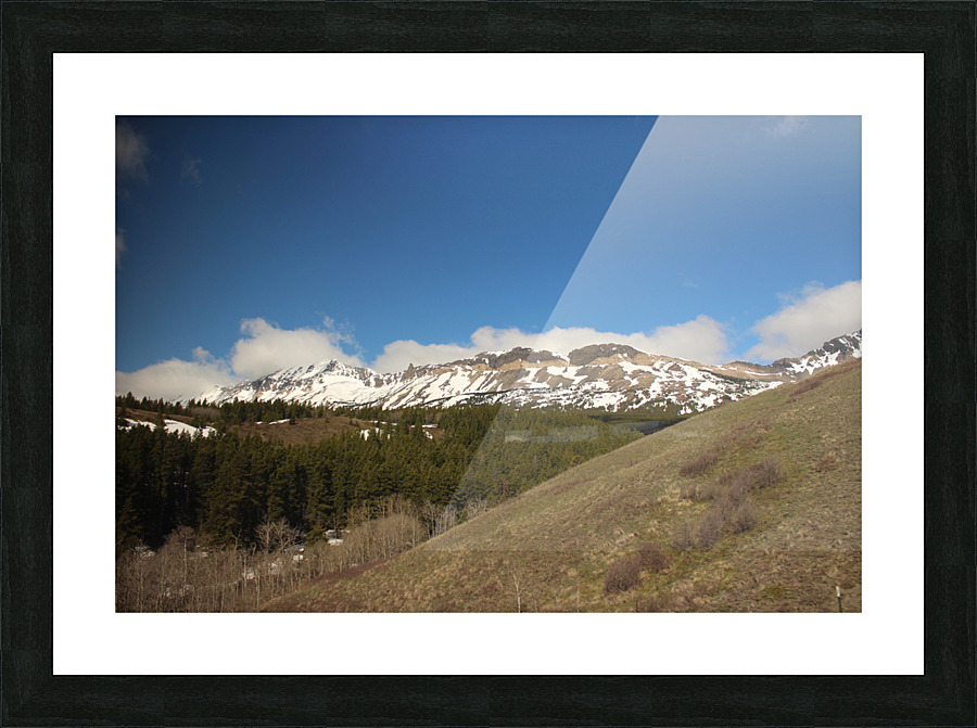 IMG 1600 Picture Frame print