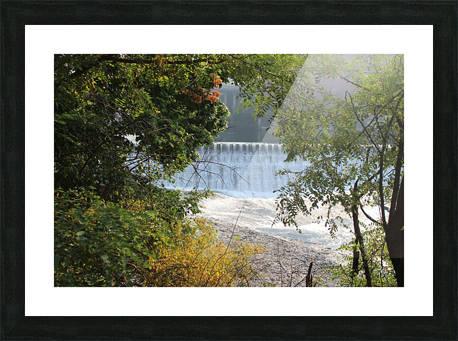 IMG 2312 Picture Frame print