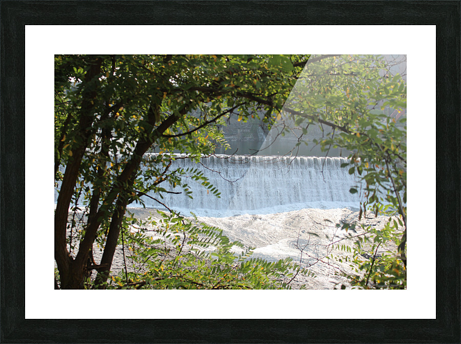 IMG 2309 Picture Frame print