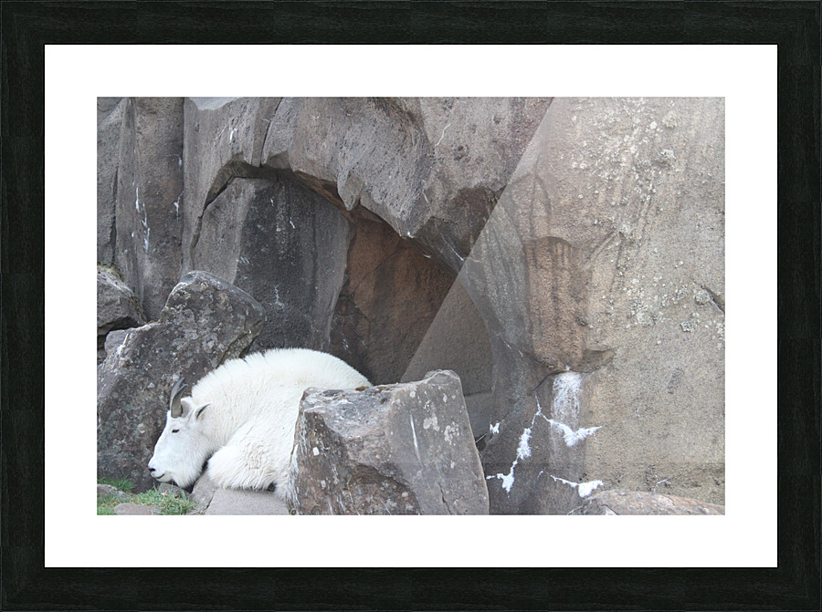 IMG 2544 Picture Frame print