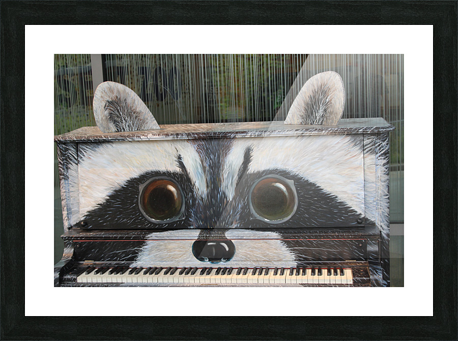 IMG 2697 Picture Frame print