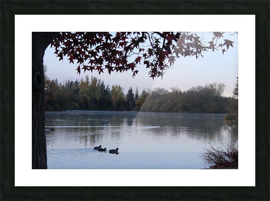 IMG 2974 Picture Frame print